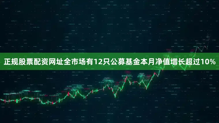 正规股票配资网址全市场有12只公募基金本月净值增长超过10%