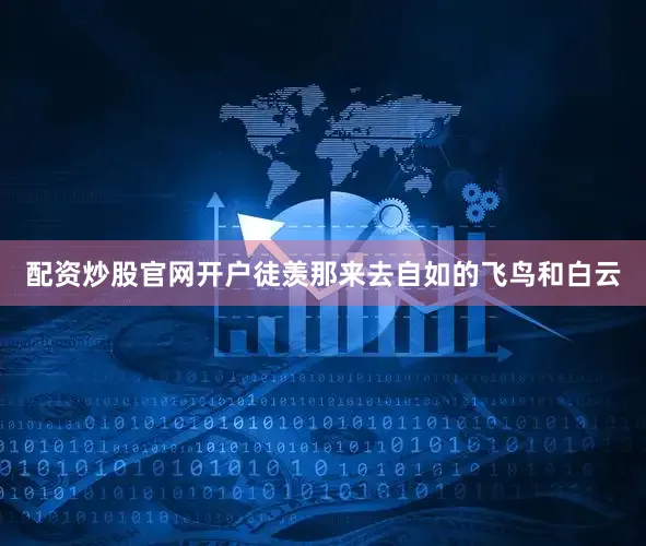 配资炒股官网开户徒羡那来去自如的飞鸟和白云